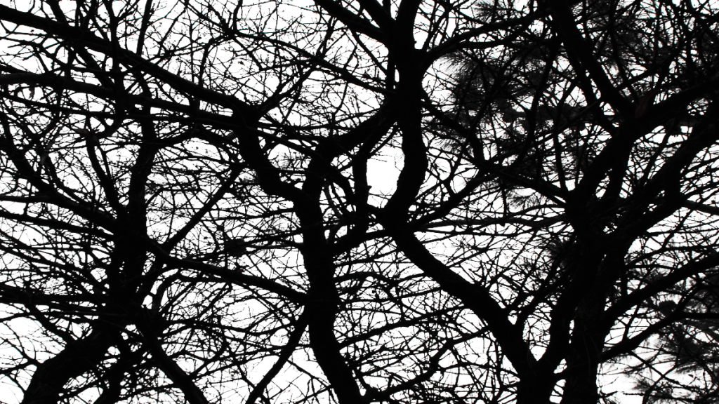 मिथक मात्र